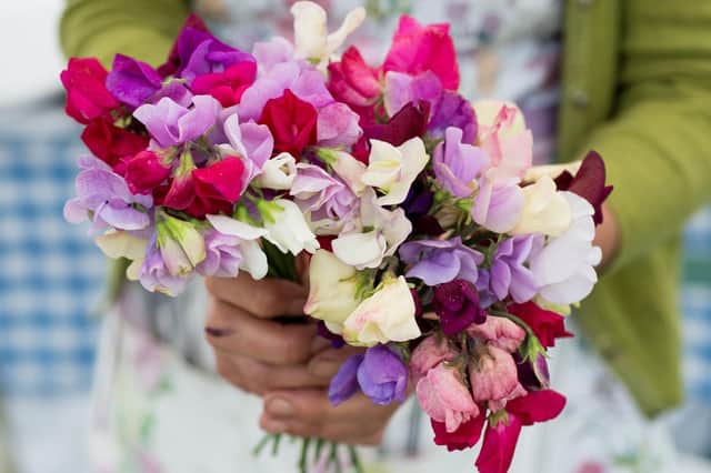 Sweet peas - the scent of summer