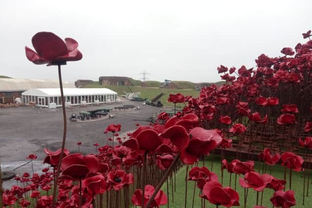Poppies at Fort Nelson. Picture: David George