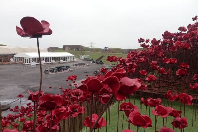 Poppies at Fort Nelson. Picture: David George