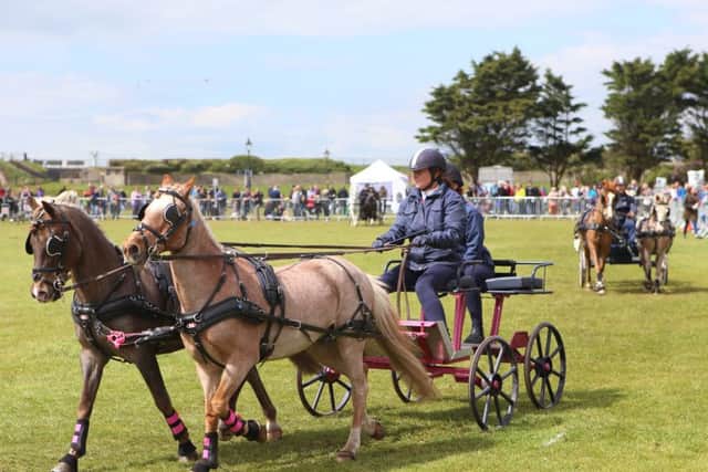 The Rural and Seaside Show will again return to Southsea in 2018