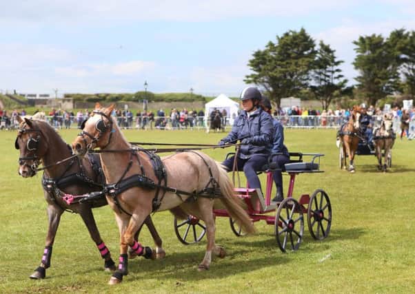 The Rural and Seaside Show will again return to Southsea in 2018