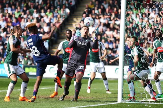 Jamal Lowe has an effort saved at Plymouth. Picture: Joe Pepler