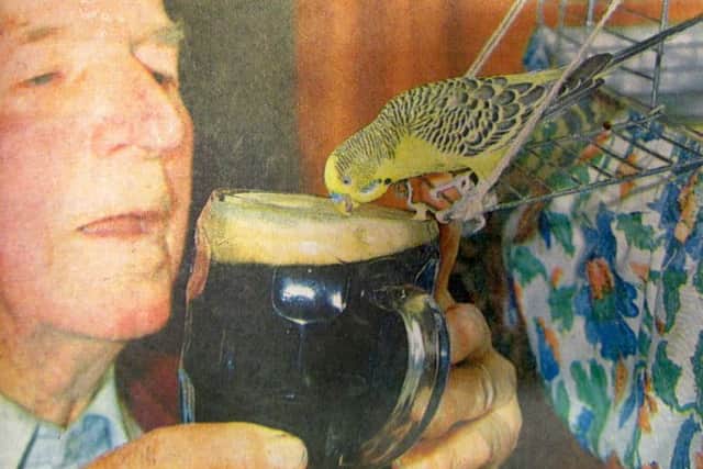 Ted Smith, 84, shares a pint of Watney's Brown Ale with his friend Billy