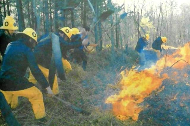 Firemen battle with the blaze at Havant Thicket