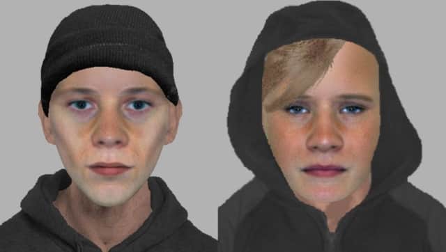 Police would like to speak to these two men after a 15-year-old boy had his bike stolen