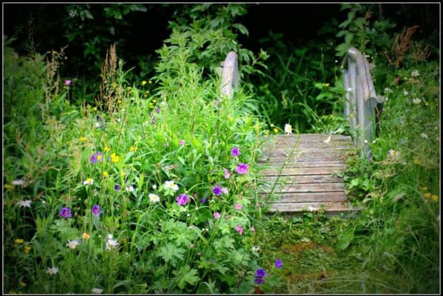 Westbourne gardens will open to visitors to raise money for local charities