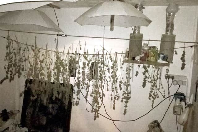 Police found a cannabis factory tended to by Shaun Waters at his home in Milton Road, Waterlooville, in August 2017.