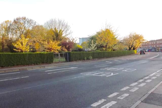 NOW: Another April day but 88 years on. Trees now flourish where the trams to Horndean once ran.