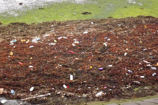 Portcreek alongside Eastern Road where Bob Hind counted more than 50 plastic bottles along with other man-made filth.