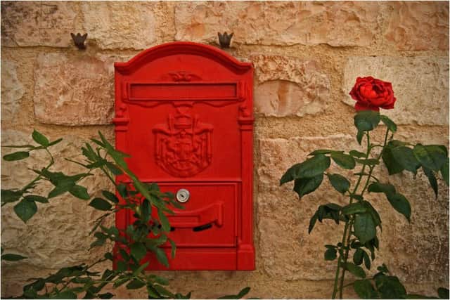 A Splash of Red by Peter Colligan