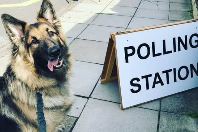 Victoria Cummins took this picture of her dog at a polling station in Baffins. Picture: Victoria Cummins/Twitter