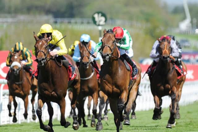 Summer Icon (yellow silks) goes toe to toe with Taurean Star (red cap) in the third race of the day / Picture by Malcolm Wells