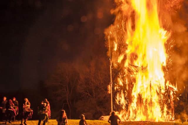 The wicker man goes up in flames at the Beltain Festival at Butser Ancient Farm Pictures: ELEANOR SOPWITH