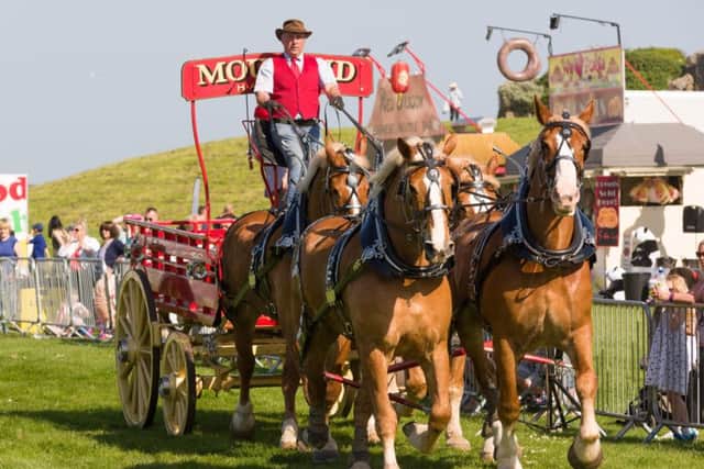 Heavy Horse Parade - Canadian Belgians driven by David Mouland
Picture: Duncan Shepherd (180350-045)
