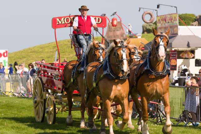 Heavy Horse Parade - Canadian Belgians driven by David Mouland

Picture: Duncan Shepherd (180350-045)