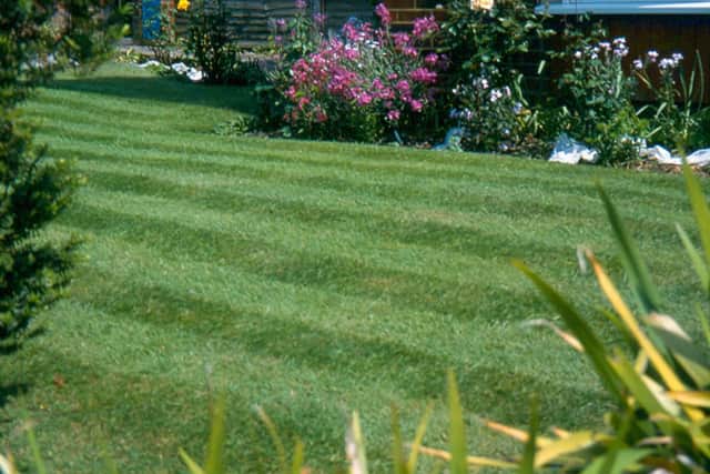 Blaise Tapp is working on his dream garden