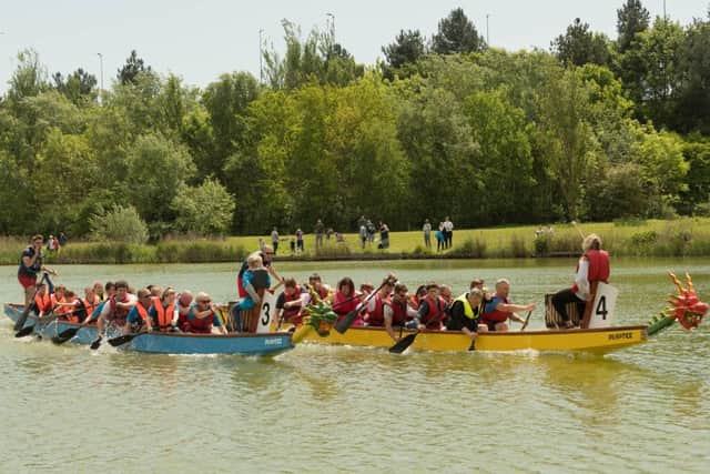 Dragonboat racing at Lakeside, North Harbour
