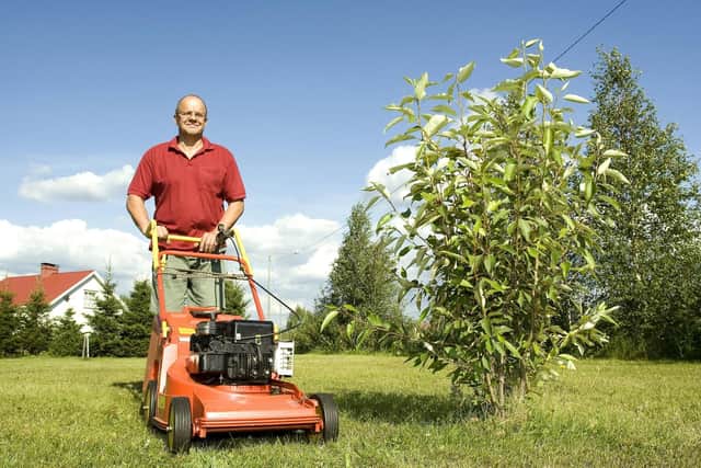 Aaaah, gardening - an escape