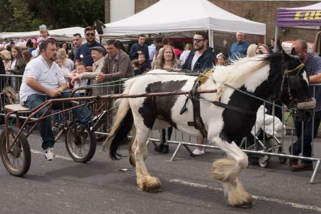 The Wickham Horse Fair last year. Picture: Keith Woodland