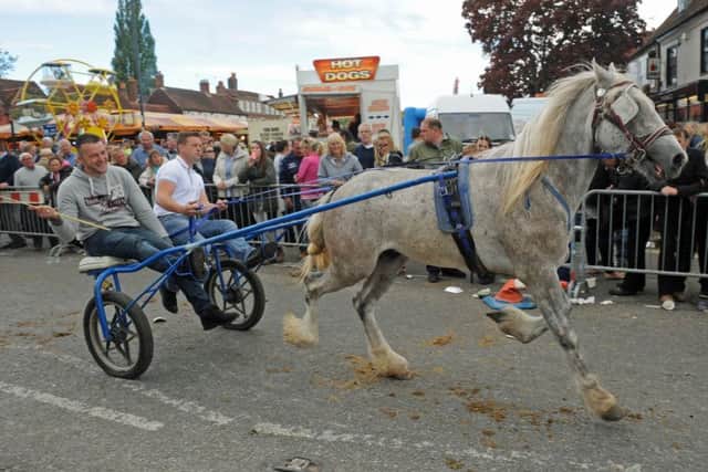 The 2015 Wickham Horse Fair. (150849-14)