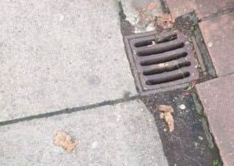 One of the pictures of dog mess taken by Shane Vine in Fratton