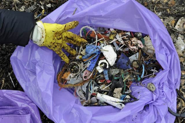 Friends of the Earth would like to see towns go plastic-free. This plastic was found on Hayling beach