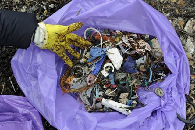 Friends of the Earth would like to see towns go plastic-free. This plastic was found on Hayling beach