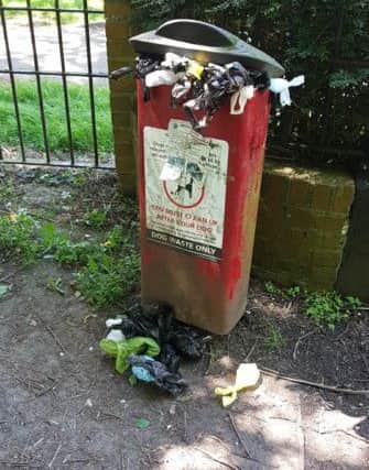 An overflowing dog-mess bin