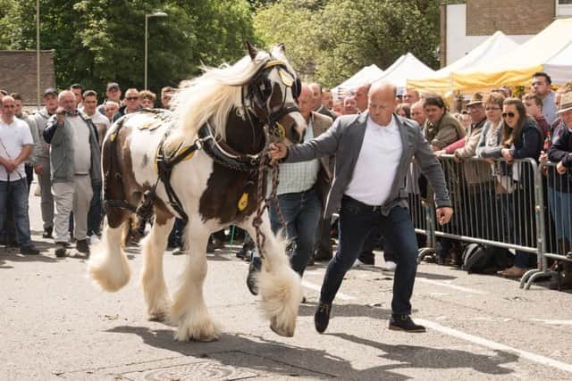 A parade from a previous outing of the Wickham Horse Fair. Picture: Keith Woodland