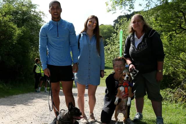 The Woofs and Wellies dog walk. Picture: Chris Moorhouse
