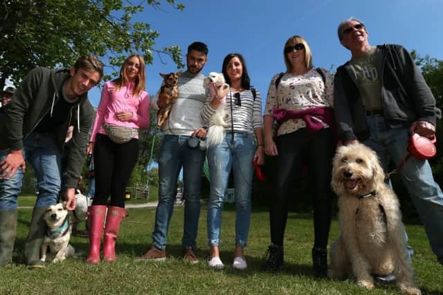 The Woofs and Wellies dog walk. Picture: Chris Moorhouse