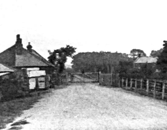 The replaced toll gate after the original was shattered by the mare.

The replaced toll gate in 1915 after the original was leapt over by the runaway mare with the carriage she was pulling smashing it to pieces. Picture: Ralph Cousins.