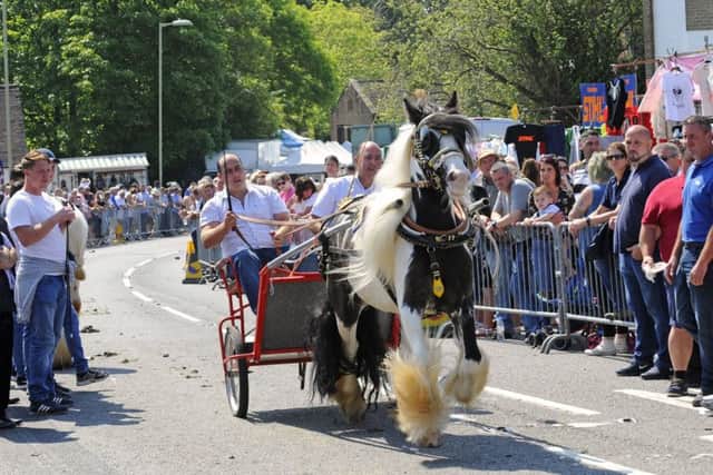 The 2018 Wickham Horse Fair  Picture: Malcolm Wells (180521-5408)