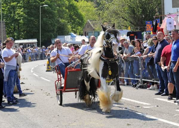 The 2018 Wickham Horse Fair  Picture: Malcolm Wells (180521-5408)