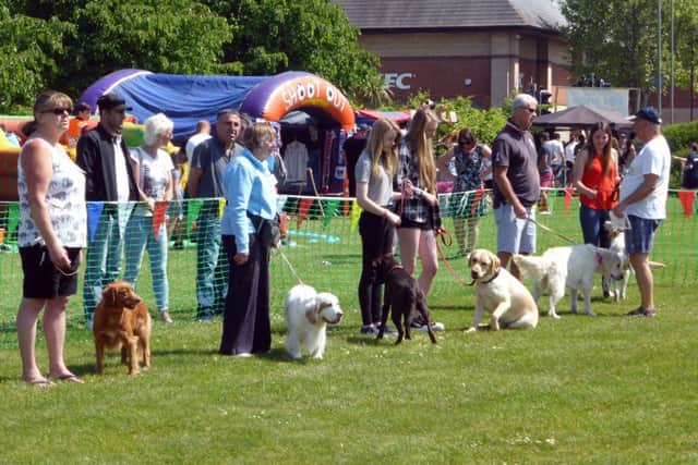 Entrants in the 2018 Gosportarians Dog Show