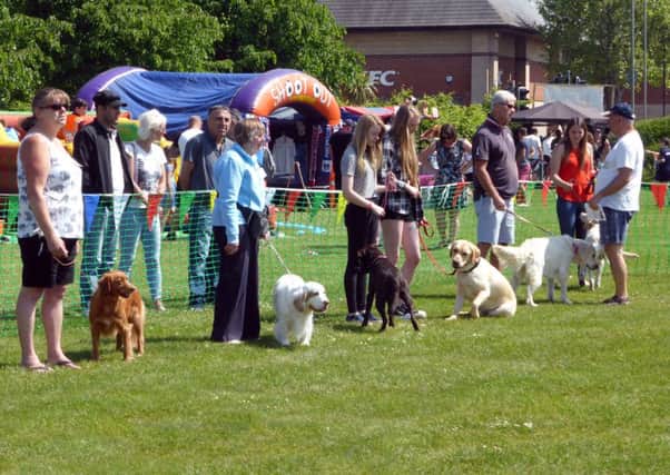 Entrants in the 2018 Gosportarians Dog Show
