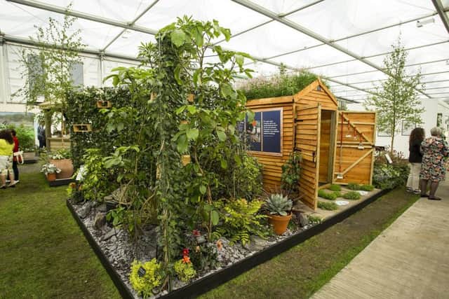 The Force for Good garden at the 2018 Chelsea Flower Show. Picture: Stewart Turkington