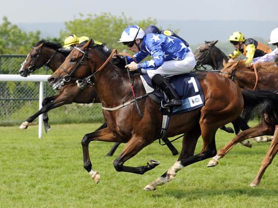 Aspetar takes the Cocked Hat Stakes / Picture by Malcolm Wells