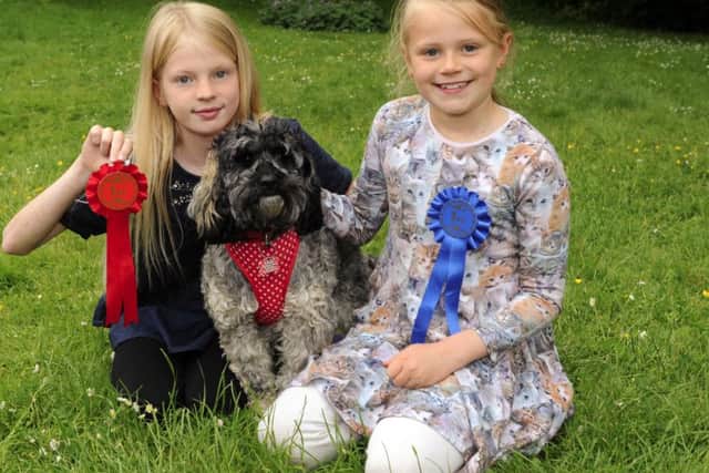 Allanah Horn, 10, left, with 'Furby' a Jackapoo, and Cassidy Horn, 8
Picture by: Malcolm Wells