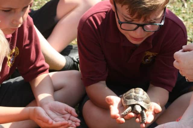 Pupils get familiar with all sorts of creatures