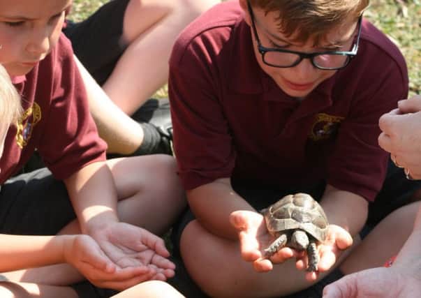 Pupils get familiar with all sorts of creatures