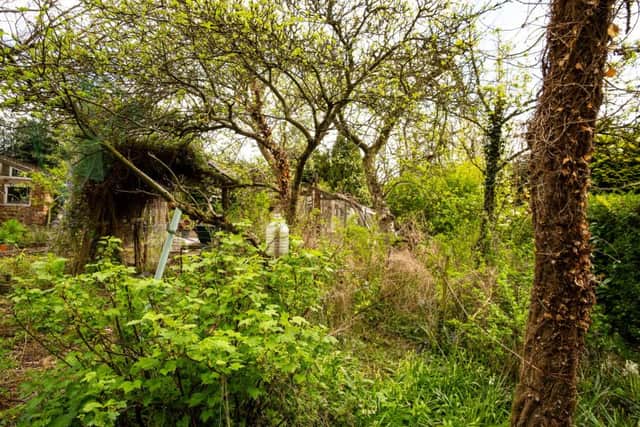 Cheryl Gibbs spent the weekend clearing out her overgrown garden