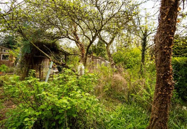 Cheryl Gibbs spent the weekend clearing out her overgrown garden