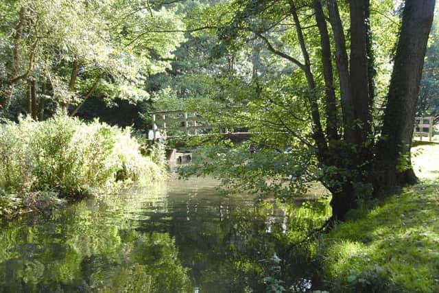 A water-meadow  Picture by Nicky Richards