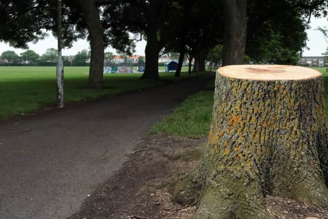 Tree stump in Bransbury Park, Portsmouth. Residents say trees were cut down needlessly  
Picture: Chris Moorhouse