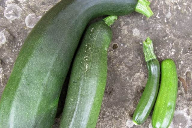Imperfect courgettes