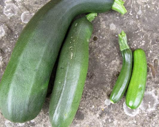 Imperfect courgettes