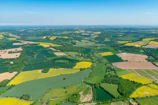 CPRE Hampshire believe the green belt campaign will better protect the south Hampshire countryside. Picture: Shaun Roster