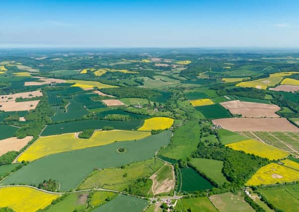 CPRE Hampshire believe the green belt campaign will better protect the south Hampshire countryside.
 Picture: Shaun Roster
