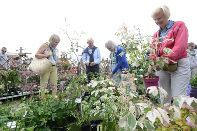 Stansted Garden Show. Picture: Kate Shemilt. ks180276-15